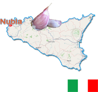 Aglio rosso di Nubia